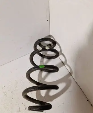 Rear coil spring