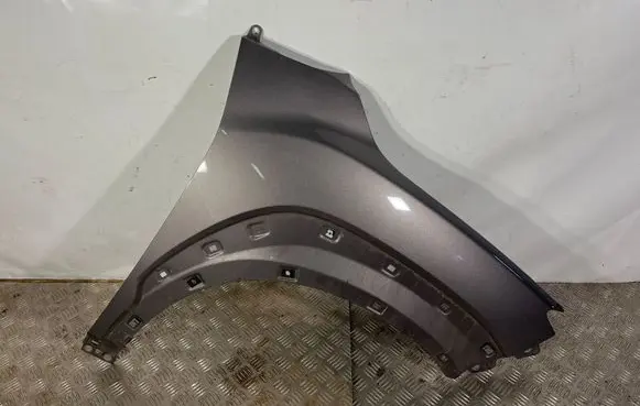 Hyundai Kona I Fender