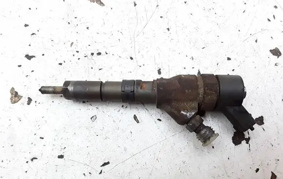 Peugeot 406 Fuel injector 0445110008 9635196580
