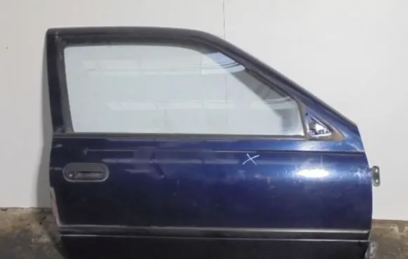 Nissan Sunny Front door