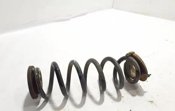 Rear coil spring