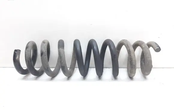 Rear coil spring