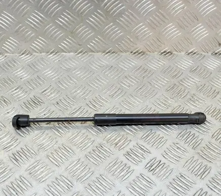 Ford Mustang VI Tailgate/trunk strut/damper FR3B63406A10BB