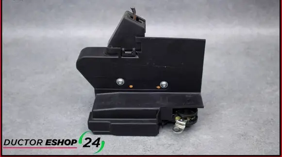 Dacia Sandero Rear door lock 825025375RC