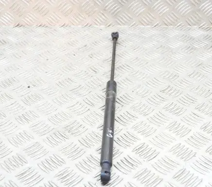 Dacia Sandero Tailgate/trunk strut/damper 904529943R