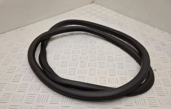 DS Automobiles 4 II Rear door rubber seal (on body) 