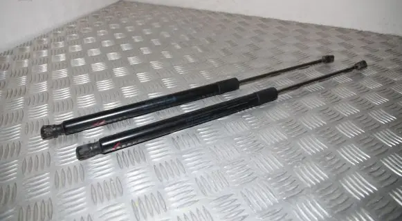 Tailgate/trunk strut/damper