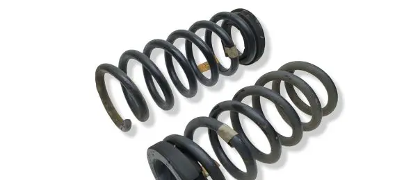 Rear coil spring