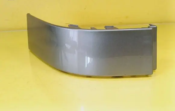 Rear/tail light trim molding
