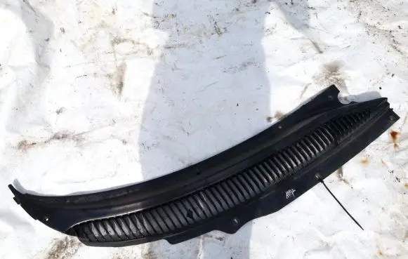 Wiper trim