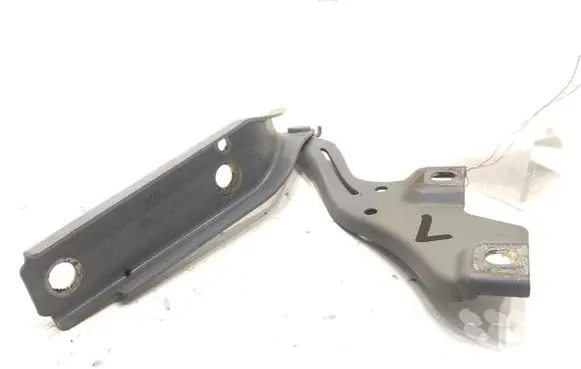Volkswagen PASSAT B8 Engine bonnet/hood hinges 3G0823301