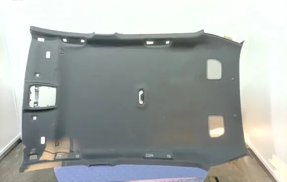 BMW 1 F40 Headlining 