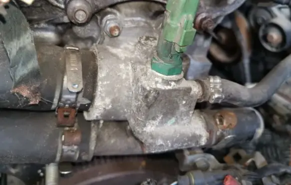 Fiat Stilo Engine coolant pipe/hose