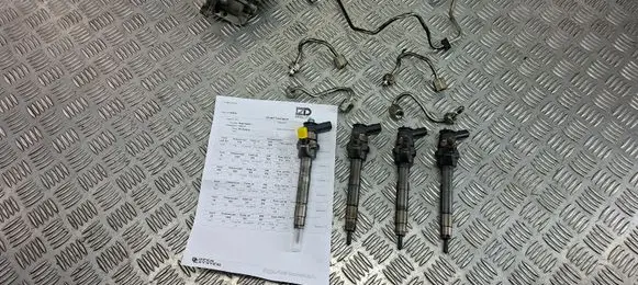 Mini Cooper Countryman R60 Fuel injection system set 0445110