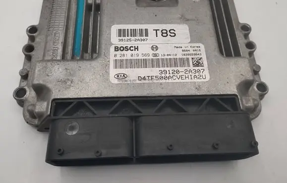 KIA Optima Engine control unit/module 391202A307 391252A307 0281019569