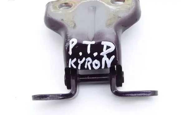 SsangYong Kyron Rear door hinge set 
