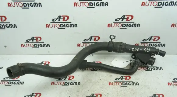 Volkswagen Golf V Engine coolant pipe/hose 038121132D