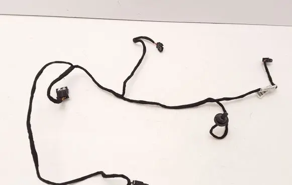 Rear door wiring loom