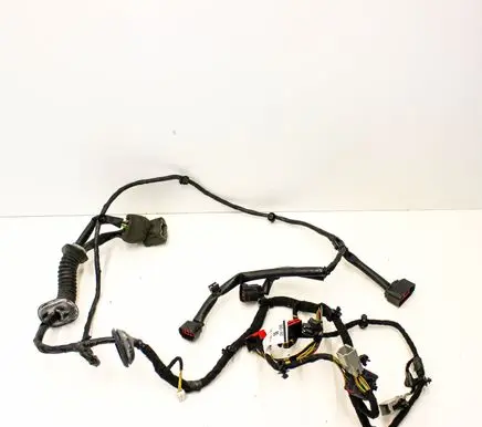 Jaguar XK - XKR Front door wiring loom 6W8314631BD