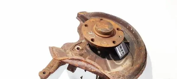 Skoda Octavia Mk2 (1Z) Rear wheel hub didzioji