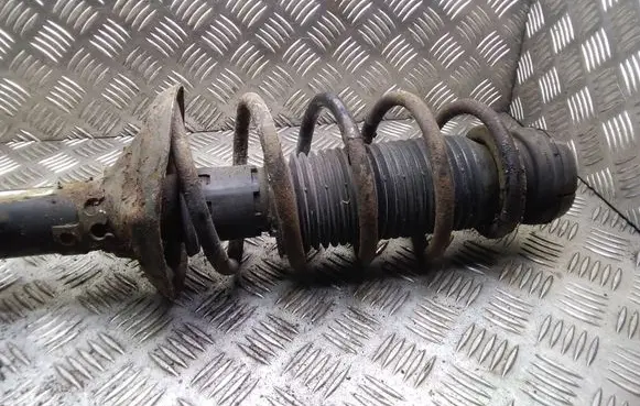 Skoda Octavia Mk2 (1Z) Front shock absorber with coil spring 1J0413031N