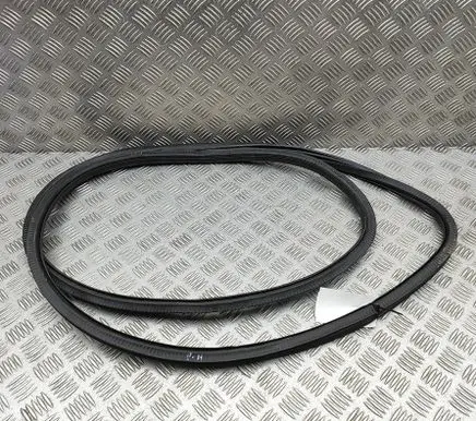 Volkswagen Touareg II Rubber seal front coupe door 7P0867365F