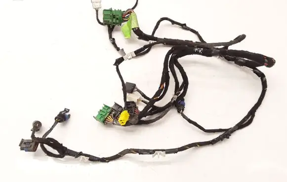 Front door wiring loom