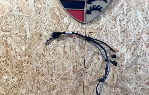 Porsche Macan (95B) Front door wiring loom/harness boot 95b972253ad