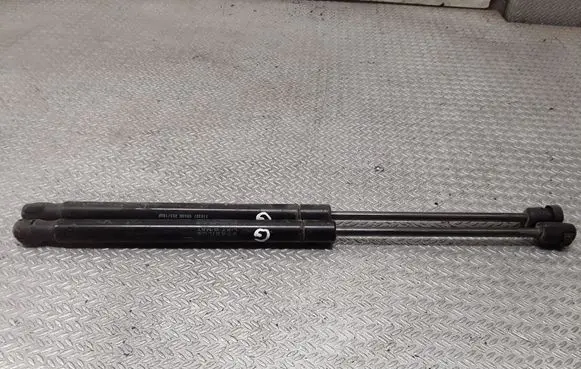 Jeep Patriot Tailgate/trunk strut/damper
