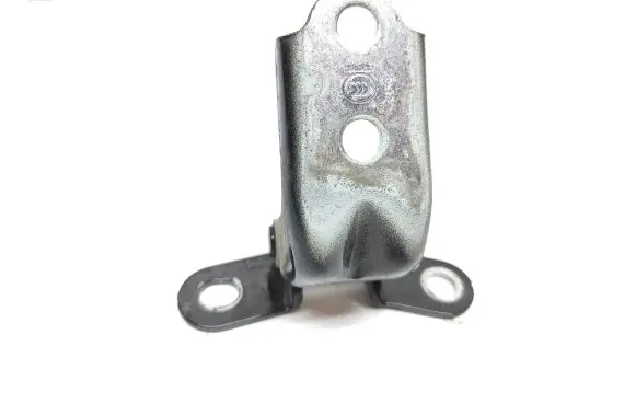KIA Rio Rear door lower hinge
