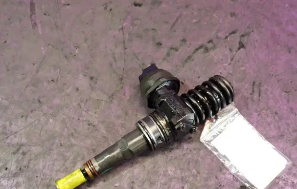 Volkswagen PASSAT B5.5 Fuel injector 