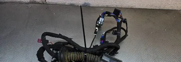 BMW X1 U11 Front door wiring loom 5A43569