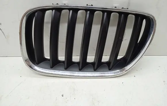 BMW X5 E53 Front bumper upper radiator grill 51137124815