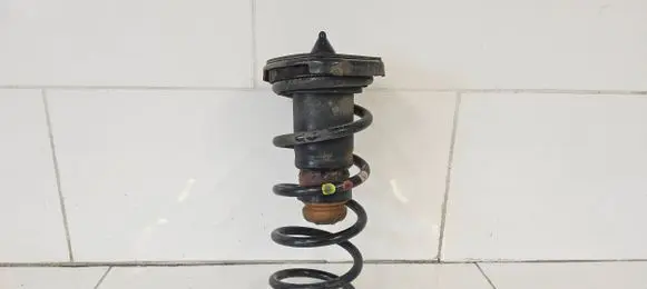 Volvo S60 Rear coil spring 31387374