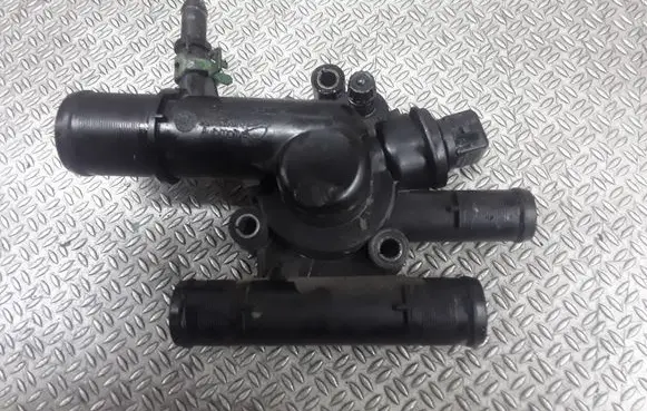 Thermostat/thermostat housing