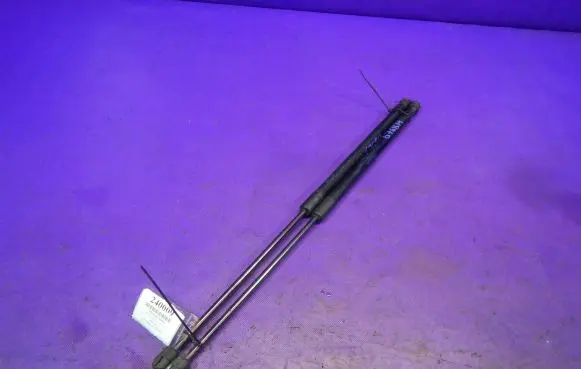Tailgate strut