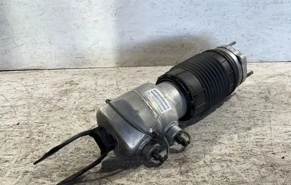 Porsche Panamera (971) Air suspension front shock absorber 971616038H 15140023424 167ATE3316D141D