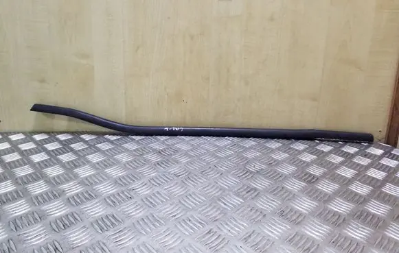 Rear door glass trim molding