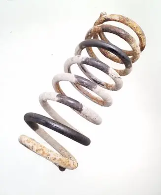 Rear coil spring