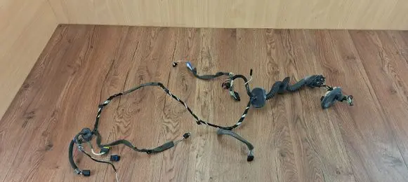 Renault Laguna III Front door wiring loom 241243343R