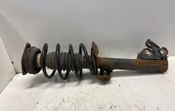 Mercedes-Benz B W245 Front shock absorber with coil spring A169320113