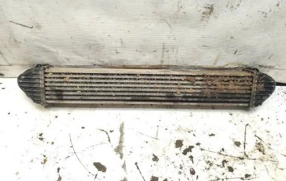 Mercedes-Benz A W169 Intercooler radiator A1695000000 B0278 N0026423