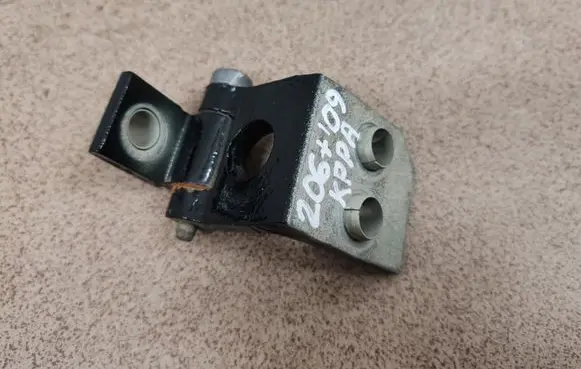 Peugeot 206+ Front door lower hinge 
