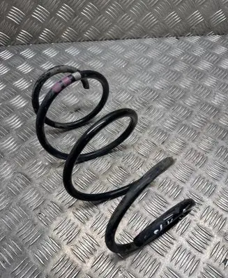 Front coil spring