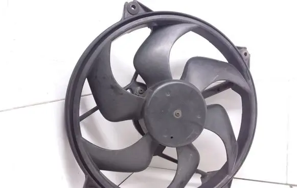 Citroen Xsara Picasso Electric radiator cooling fan 1831237016