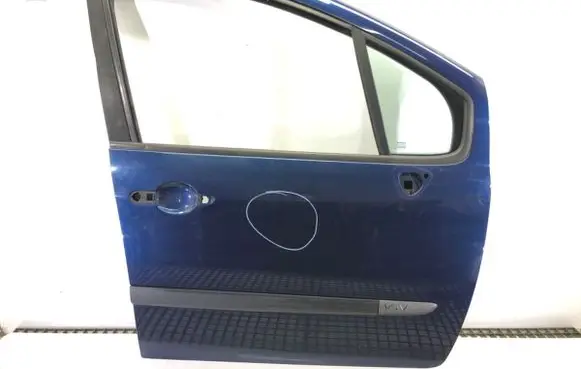 Renault Modus Front door