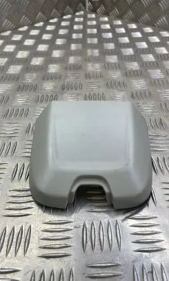 Audi A4 S4 B9 Headlining roof cover 8W0857519