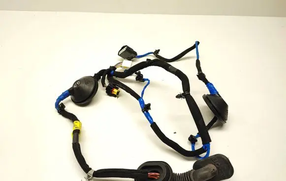 Hyundai Ioniq Rear door wiring loom 91660G2391 E2391