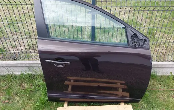 Renault Megane III Front door
