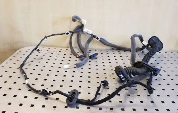 Renault Megane III Front door wiring loom 241259658R